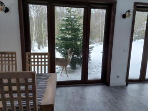 Willa Na Pstrążnicy, Kudowa-Zdrój